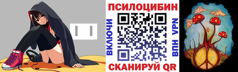Псилоцибиновые грибы прущие грибы  Купить где  Николаевск 